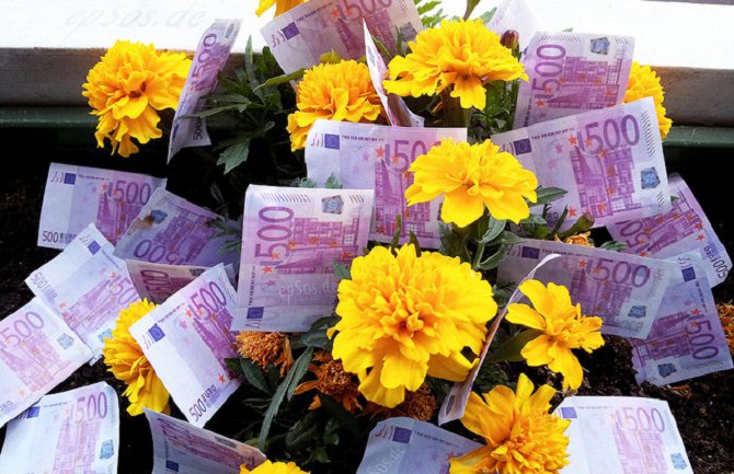 Evo zašto nije dobro biti bogat