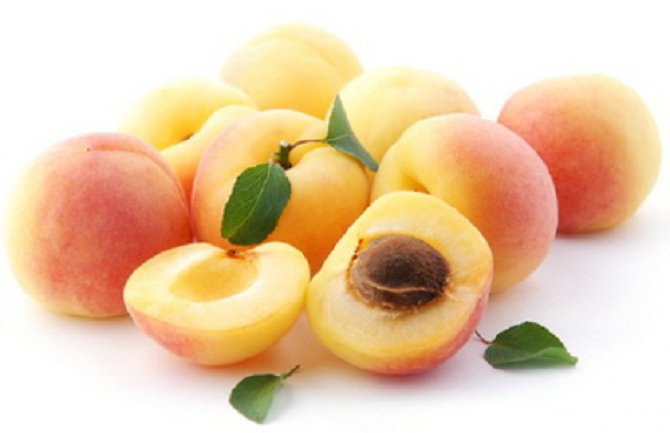 Kajsije jačaju zube i kosti