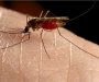 Zašto komarci “napadaju” neke ljude, a neke ne?