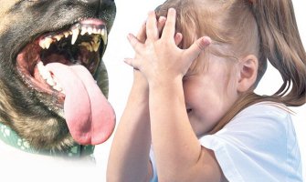 Pas izujedao djevojčicu po licu!