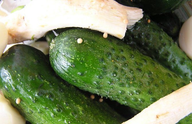 Zašto bismo trebali jesti krastavac svakodnevno?