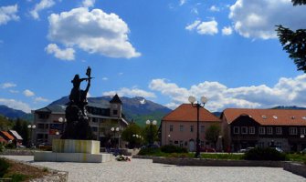 Mladić podlegao povredama zadobijenim u sječi šume