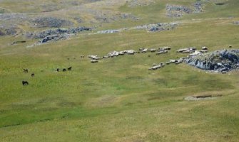 MONSTAT: Kopamo tri puta manje nego Evropljani