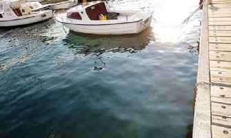 Ekološki incident u tivatskom zalivu