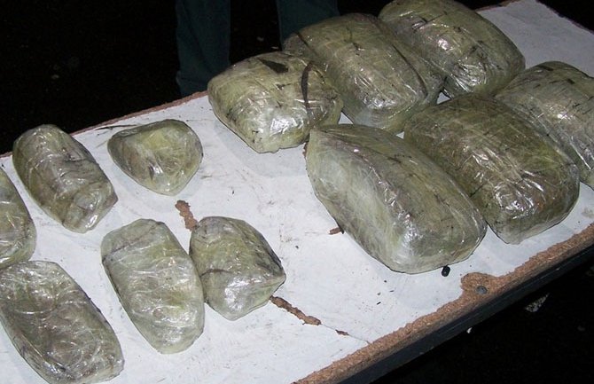 Zaplijenjeno 10 kilograma skanka