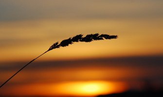 Sjutra promjenljivo, do 33 stepena