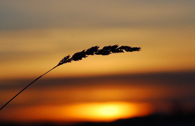 Sjutra promjenljivo, do 33 stepena