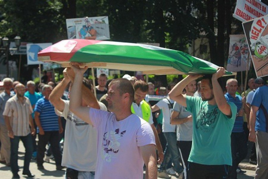 aapicture201408032952080high