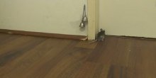 Pogledajte kako miš traži gazdarici da mu otvori vrata (VIDEO)