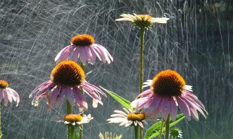 Promjenljivo oblačno, kiša krajem dana i tokom noći