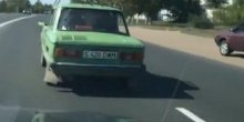 Krava na zadnjem sjedištu automobila (VIDEO)