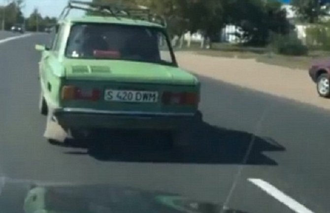 Krava na zadnjem sjedištu automobila (VIDEO)