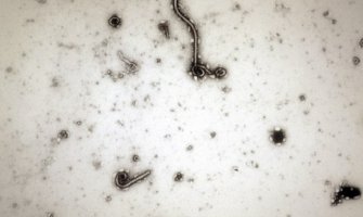 Liberija: Stigao lijek za ebolu