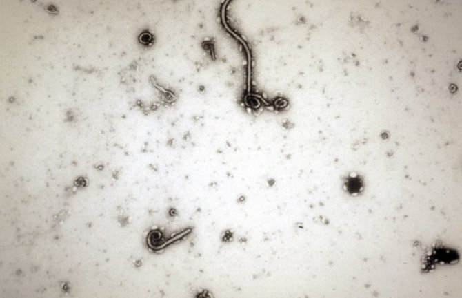 Liberija: Stigao lijek za ebolu