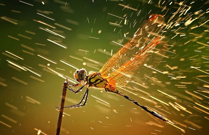 Za vikend oblačno, kiša na sjeveru