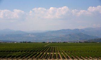 DRI u izvještaju iznio i poslovne tajne u vezi poslovanja Plantaža