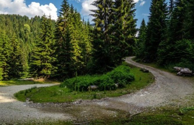 U septembru zeleno svijetlo za Rujište