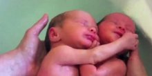 Zagrljeni blizanci misle da su u maminom stomaku