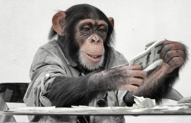 Majmun s krova bacao novčanice prolaznicima