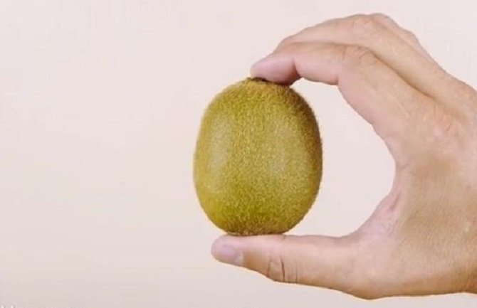 Ogulite kivi u sekundi! (VIDEO)