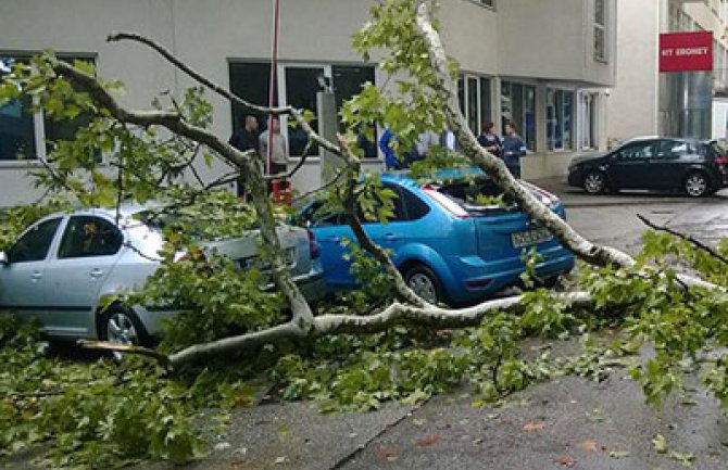 Nevrijeme u Mostaru: Vjetar čupao stabla koja su padala po automobilima 