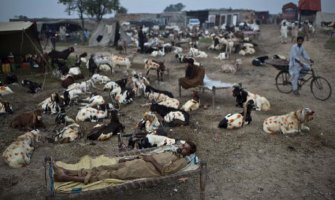 Ubijeno šestoro islamista