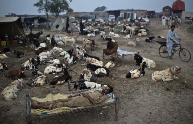 Ubijeno šestoro islamista