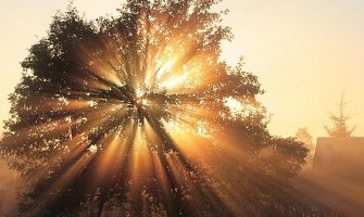 Danas sunčano i toplije