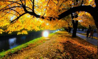 Danas sunčano do 28 stepeni