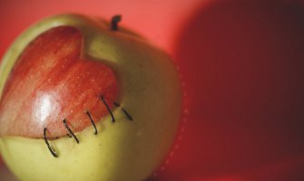 Doniranje organa čin suštinske vjere i ljubavi