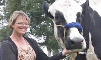 Najviša krava na svijetu upisana u Ginisovu knjigu rekorda