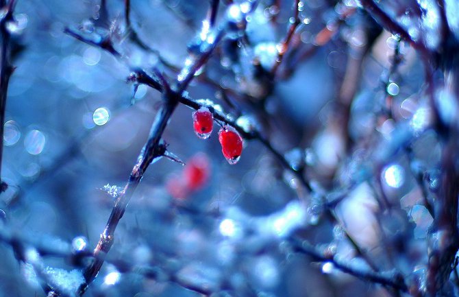 Od srijede kiša i snijeg