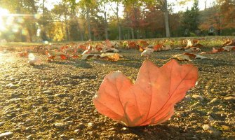 Sjutra uglavnom suvo i vjetrovito