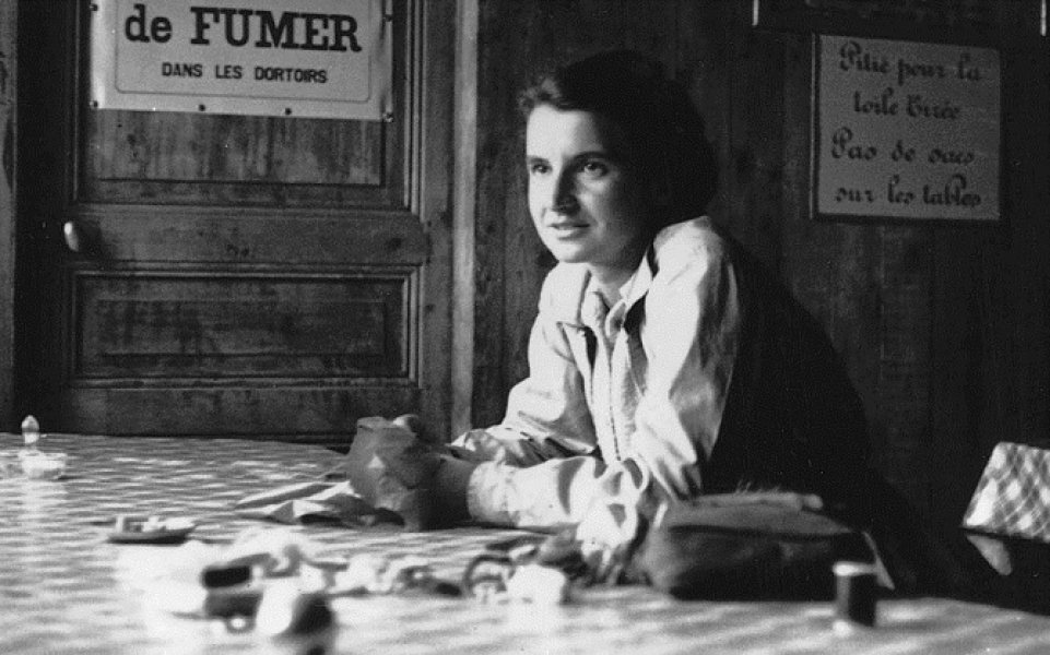 rosalindfranklin