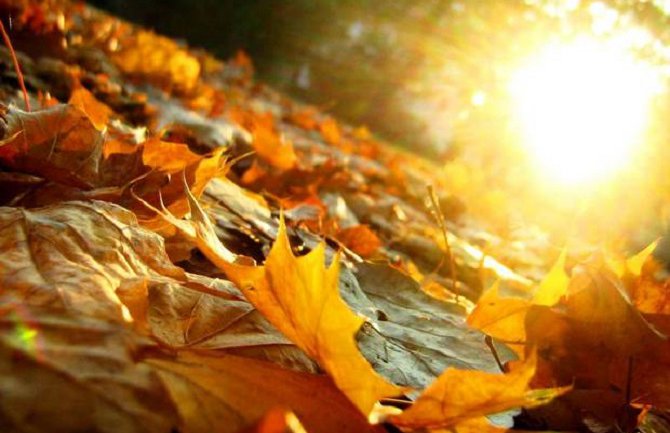 U nedjelju sunčano, temperatura do 21 stepen