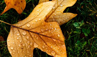 Sjutra kiša i pljuskovi sa grmljavinom