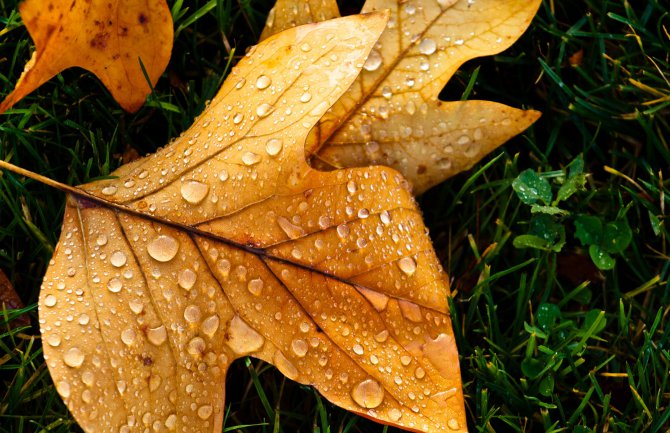 Sjutra kiša i pljuskovi sa grmljavinom