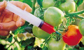 EU na korak da zabrani GMO