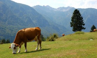Premije za naše poljoprivrednike