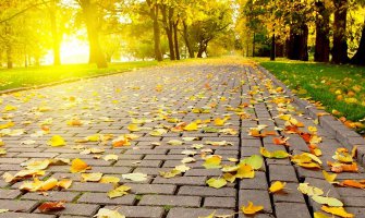 Sjutra sunčano, do 19 stepeni