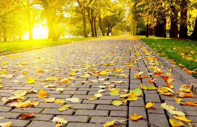 Sjutra sunčano, do 19 stepeni