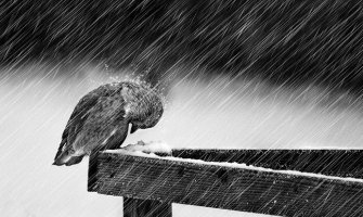 I danas oblačno i kiša