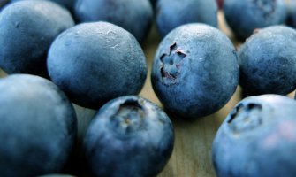 Počinju „Dani borovnice“ 