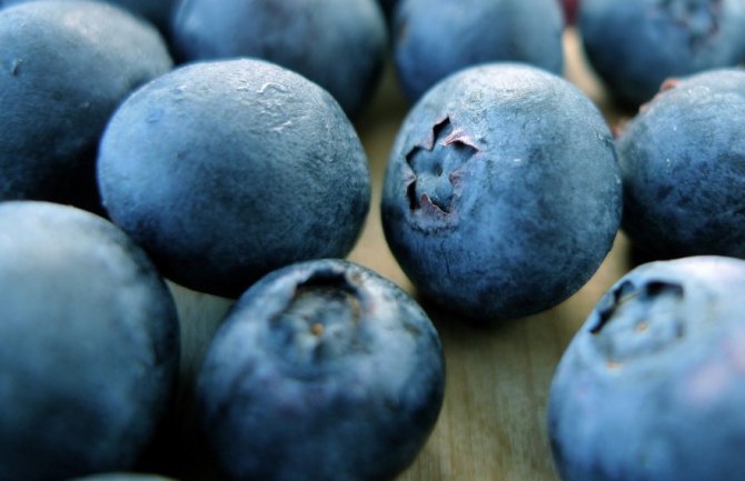 Počinju „Dani borovnice“ 