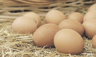 Ukradeno pola miliona jaja u Portoriku