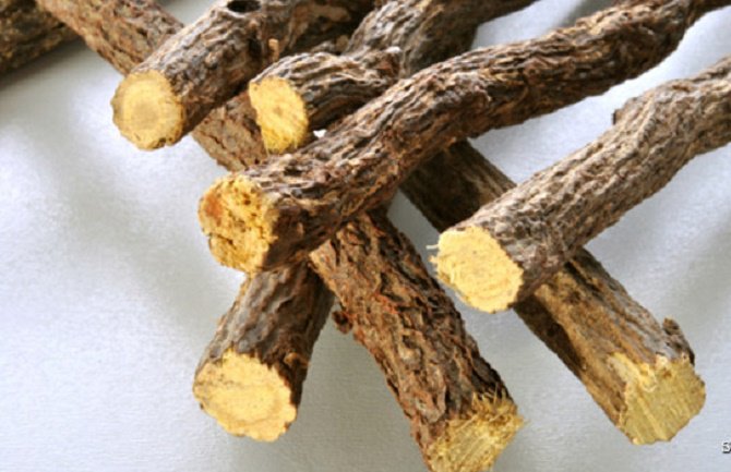 Sladić - korijen zlata vrijedan