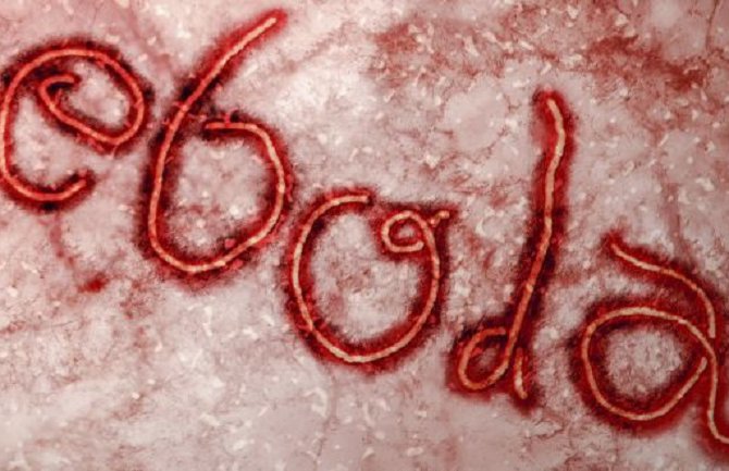 Broj umrlih od ebole porastao na 6.583