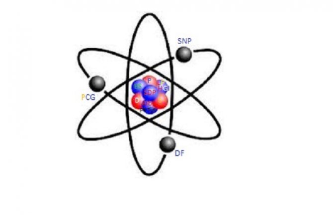 Zejnilović: Referentna tačka crnogorskog političkog sistema je Milo Đukanović