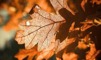 Za Božić tri neradna dana