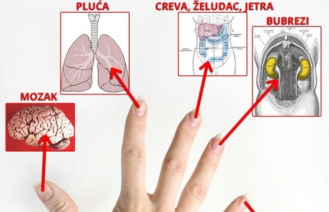 Pratite svoje šake i spriječite bolesti